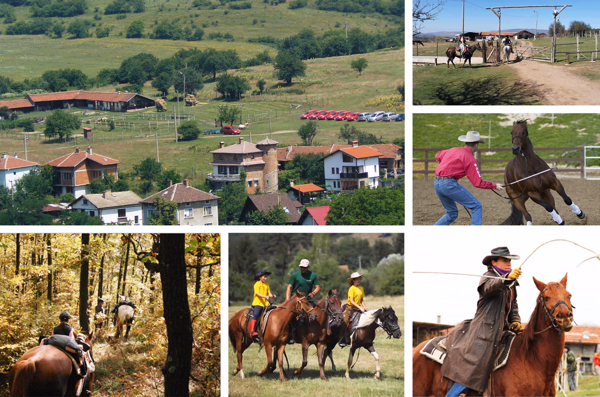 Ранчо Коникът